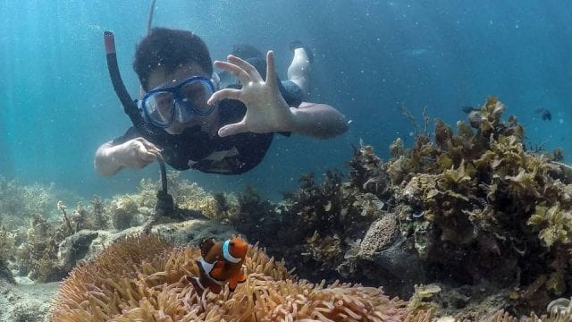 Underwater Adventures: Snorkeling & Diving Day Trips From Batam