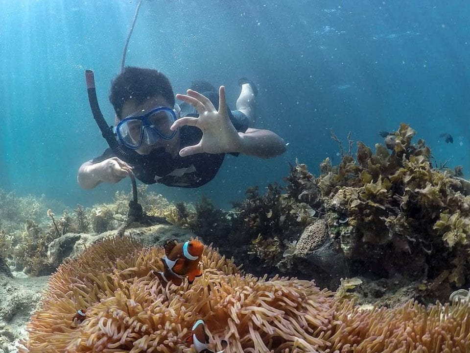 Underwater Adventures: Snorkeling & Diving Day Trips From Batam
